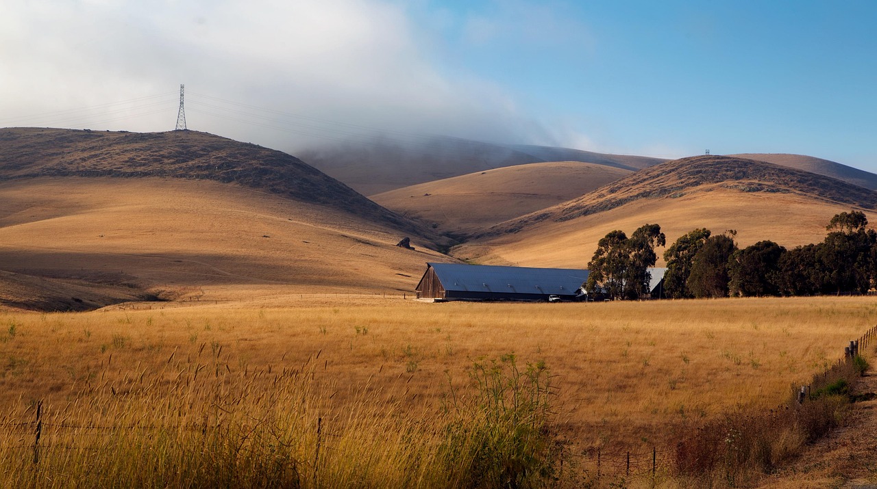 长江流域的生态保护与可持续发展 长江流域的生态保护与可持续发展