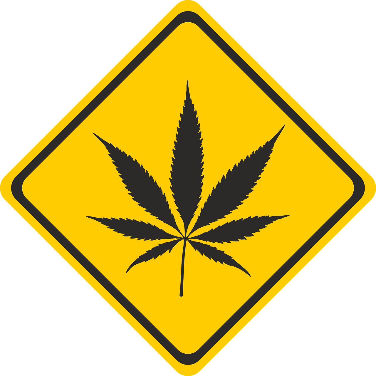 华兰疫苗,守护健康的盾牌 华兰疫苗,守护健康的盾牌